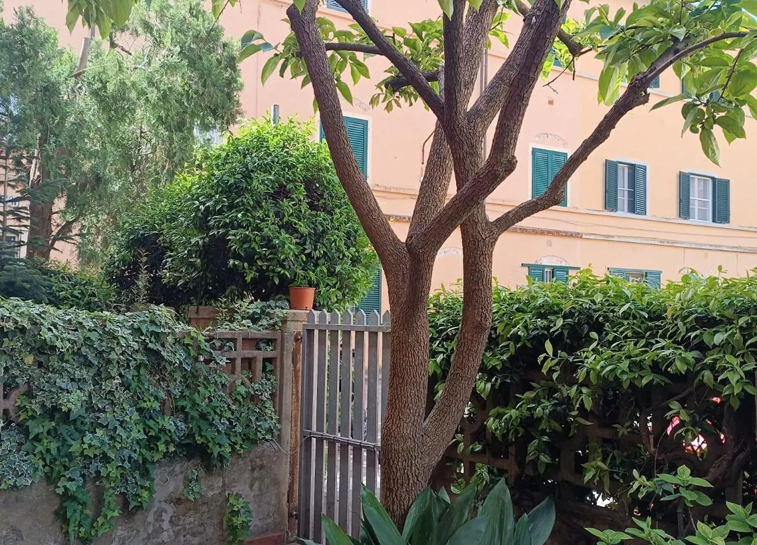 Maioliche Cozy Apartment Pisa
