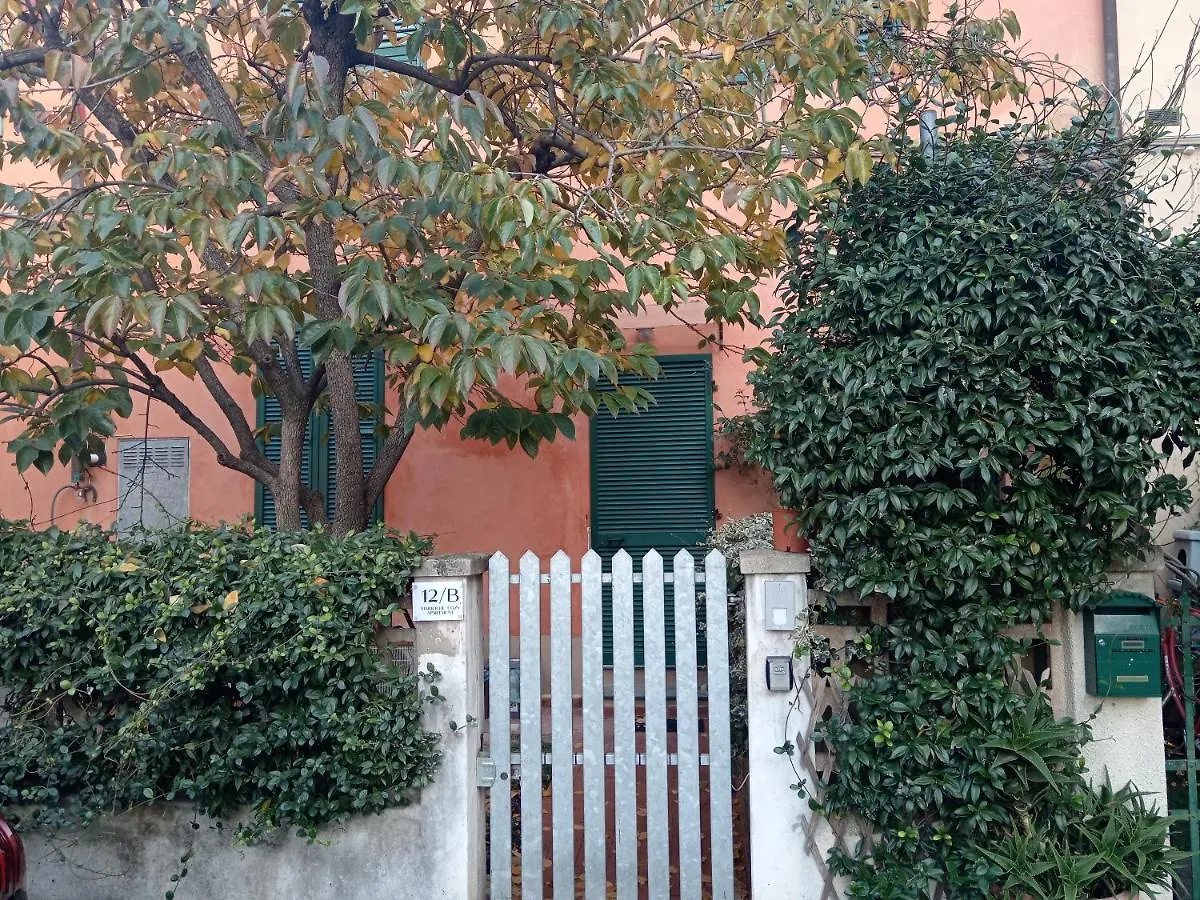 Maioliche Cozy Apartment Πίζα Ιταλία